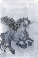 Black Pegasus